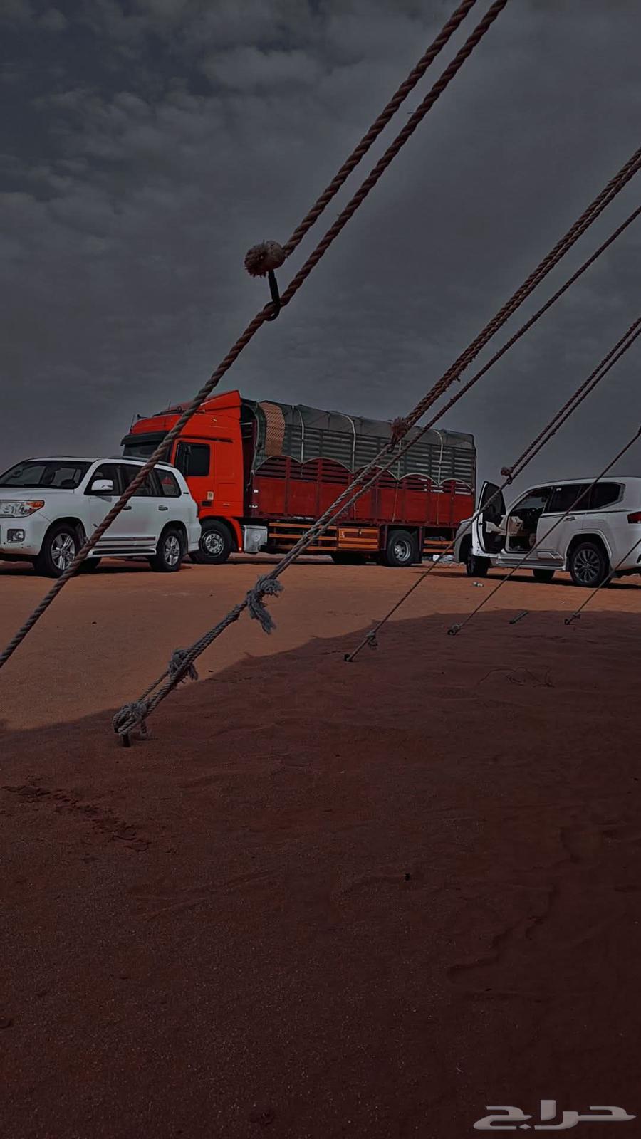 مشاوير مسكس لوري 8متر للنقل داخل64594163052931110