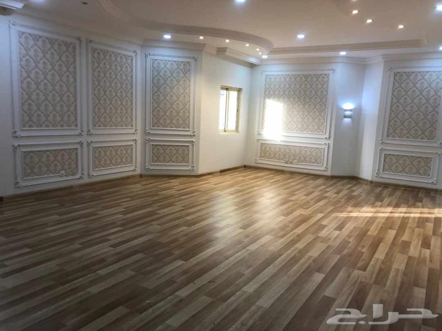 ديكورات الشرقية اصباغ ترميم ورق جدران باركيه64594246012033113