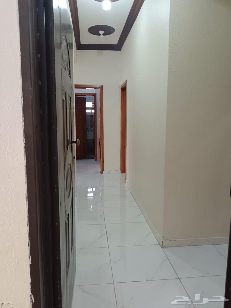 شقه للايجار حي عتود64594098572546112