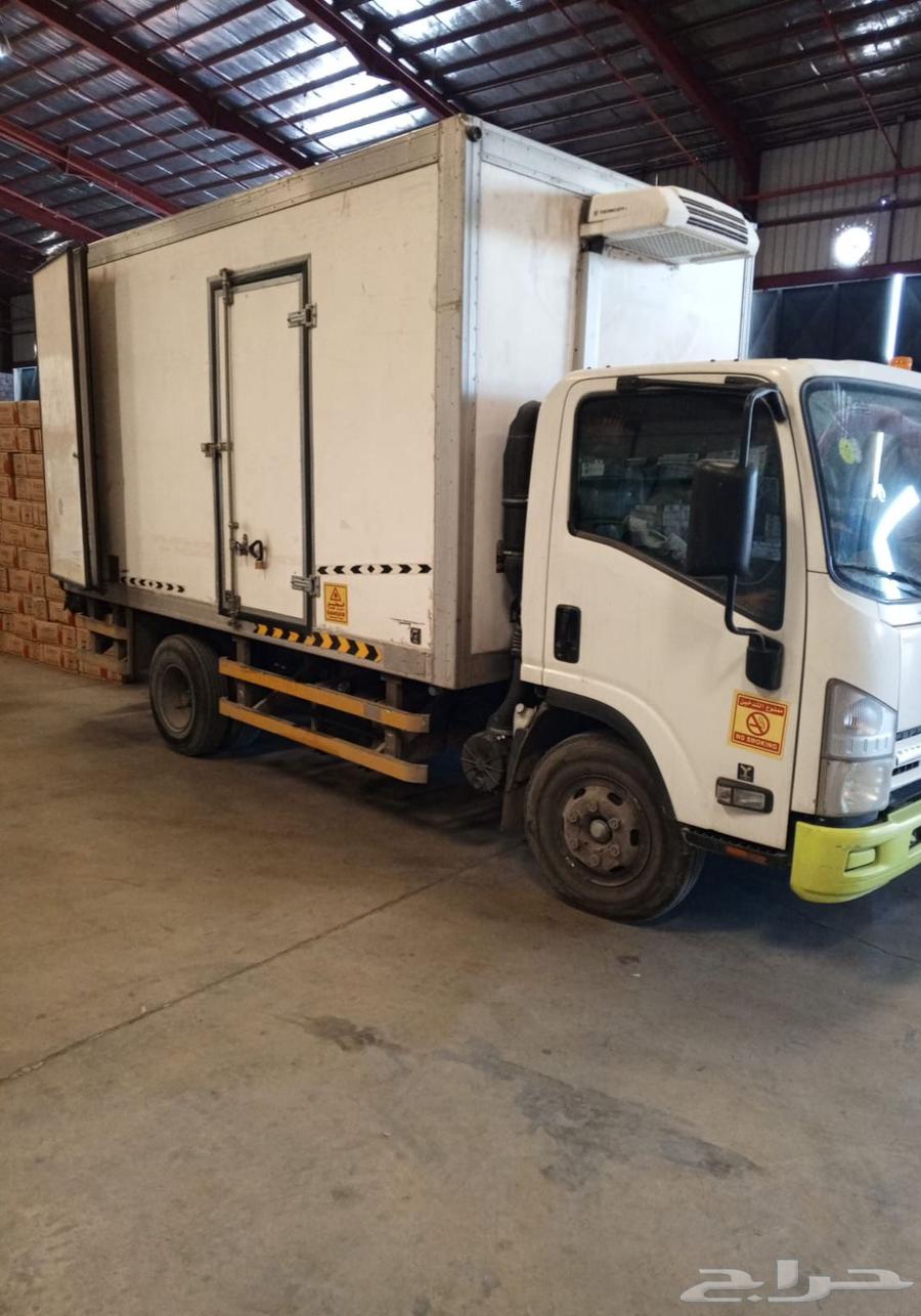 دينه براده للايجار معا السائق64594261339777110