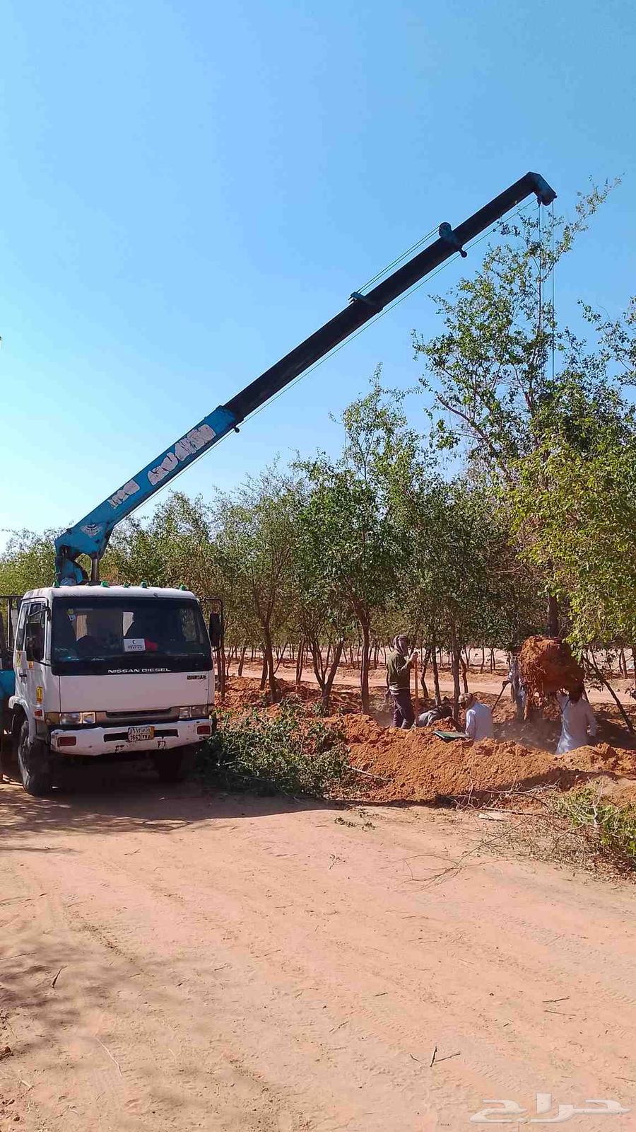 سطحه ونش المزحميه تبراك اجله64594245114755110