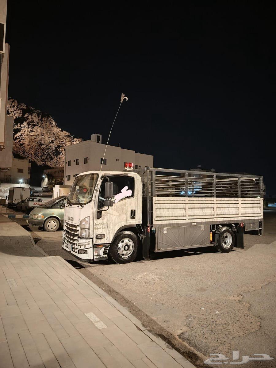 Furniture Moving, Disassembly and Assembly Services in and out of Riyadh64594162765827110