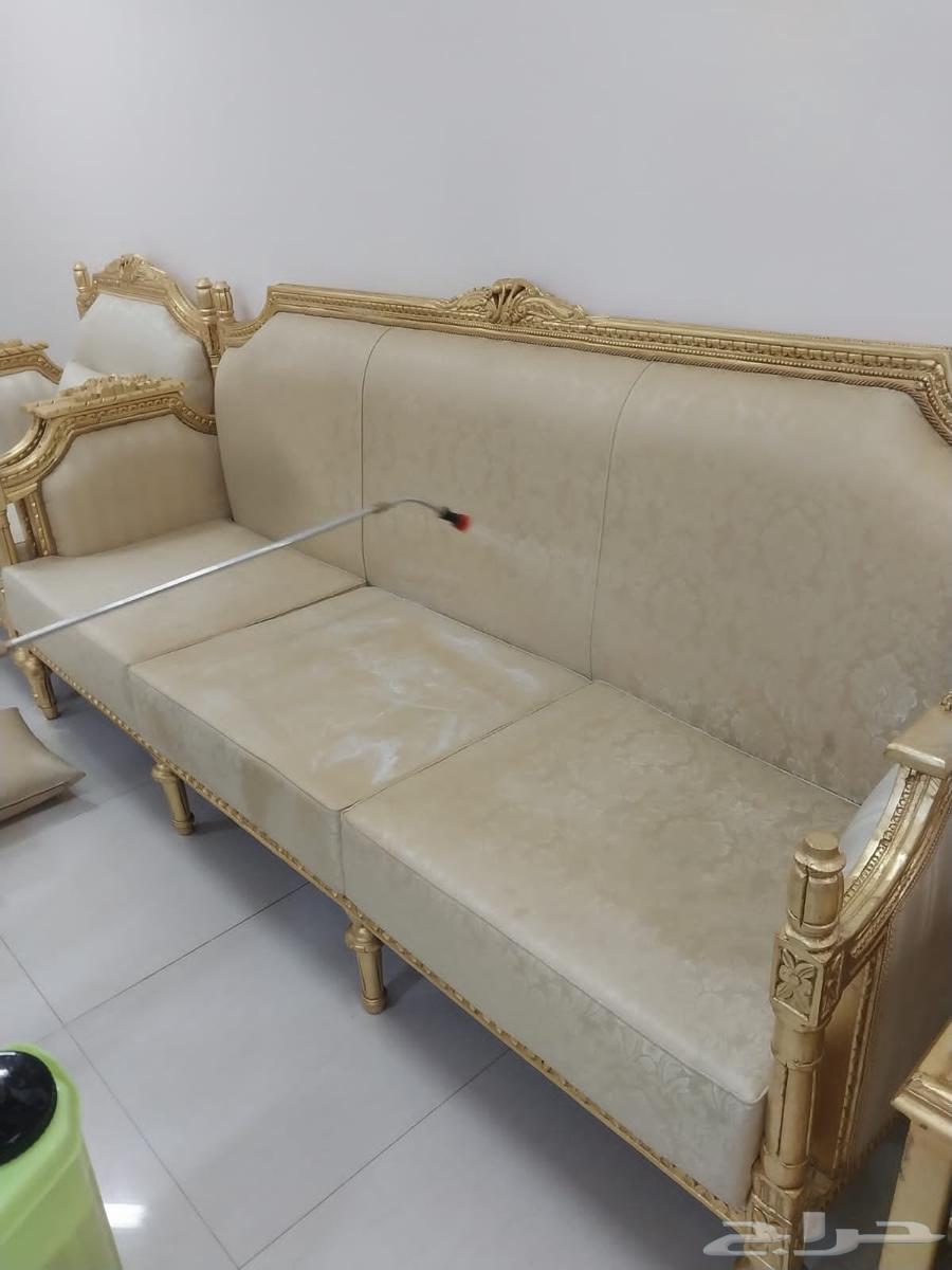 شركة تنظيف شركة تنظيف كنب سجاد شركة مكافحة حشرات عزل خزانات64589729182467113