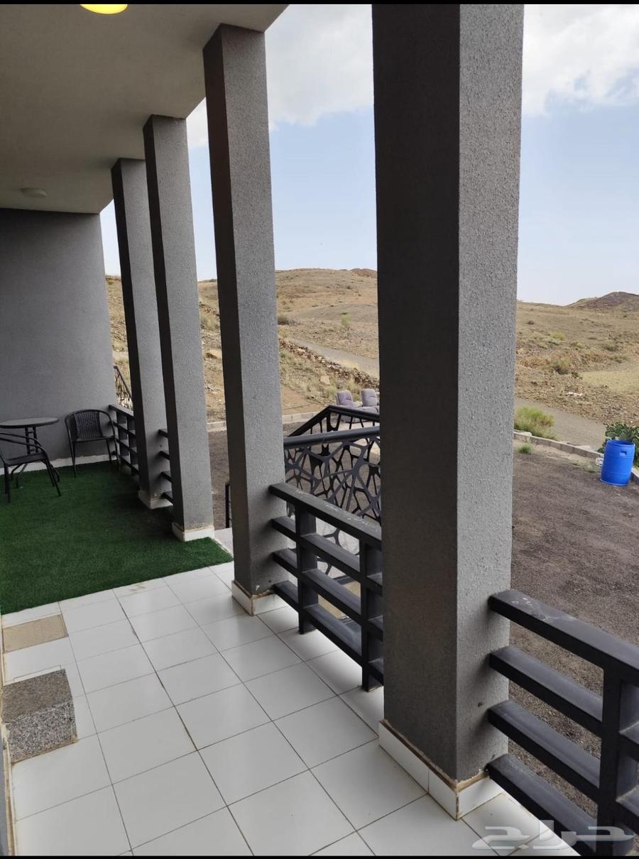 شقة للإيجار