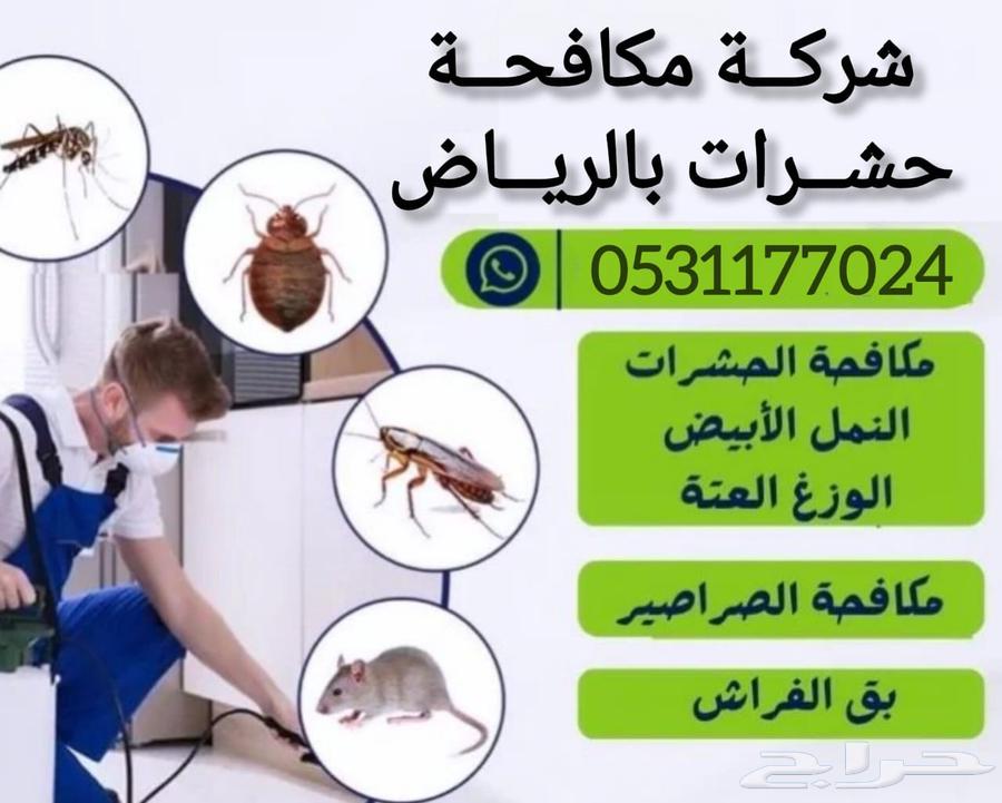 Pest Control in Riyadh, Pesticide Spraying, Cockroach Control, Ant Control64594133155073111