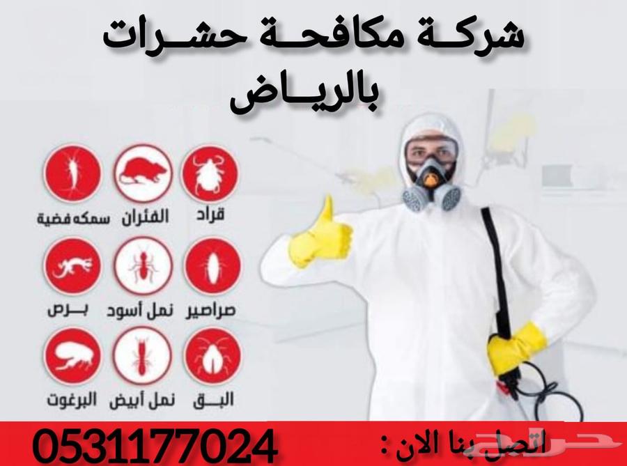 Pest Control in Riyadh, Pesticide Spraying, Cockroach Control, Ant Control64594133155073112