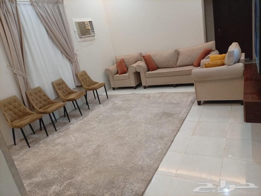 شركة تنظيف شركة تنظيف كنب سجاد شركة مكافحة حشرات عزل خزانات64589729182467111