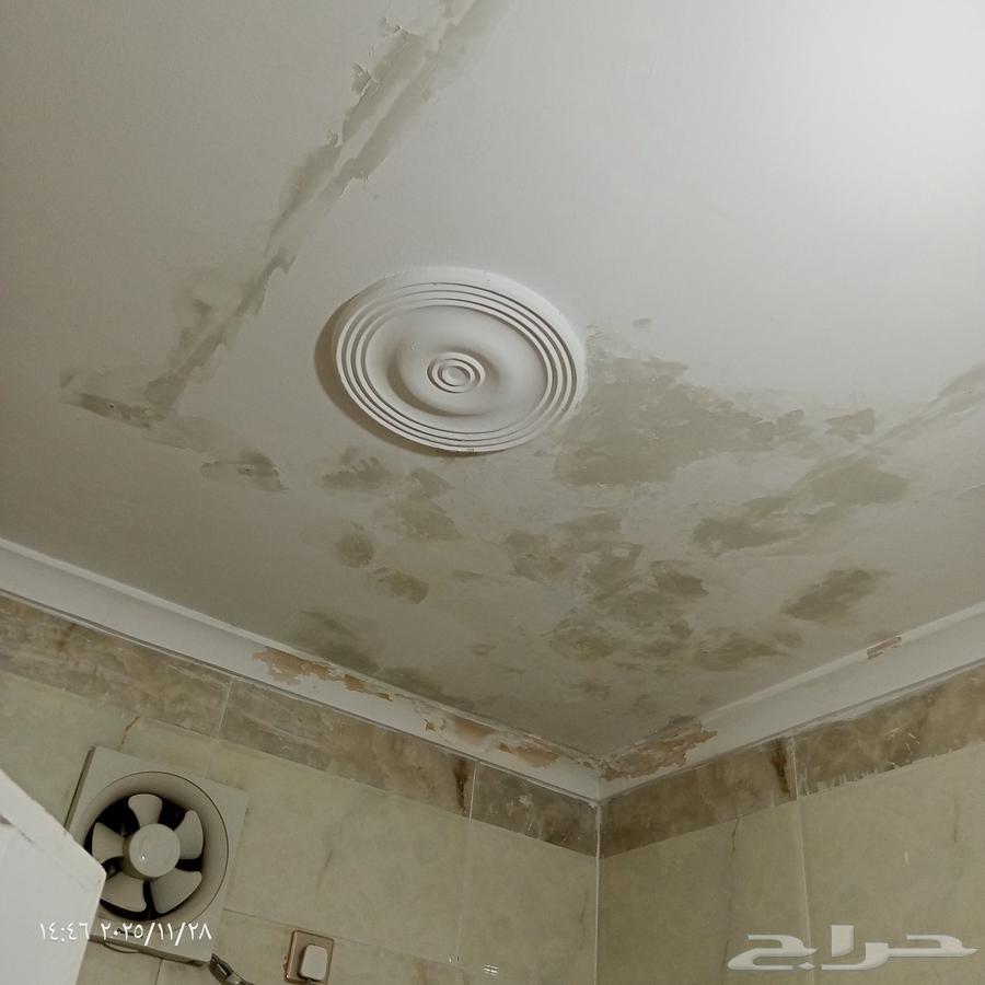 معلم دهانات مكه المكرمه64594261570433113