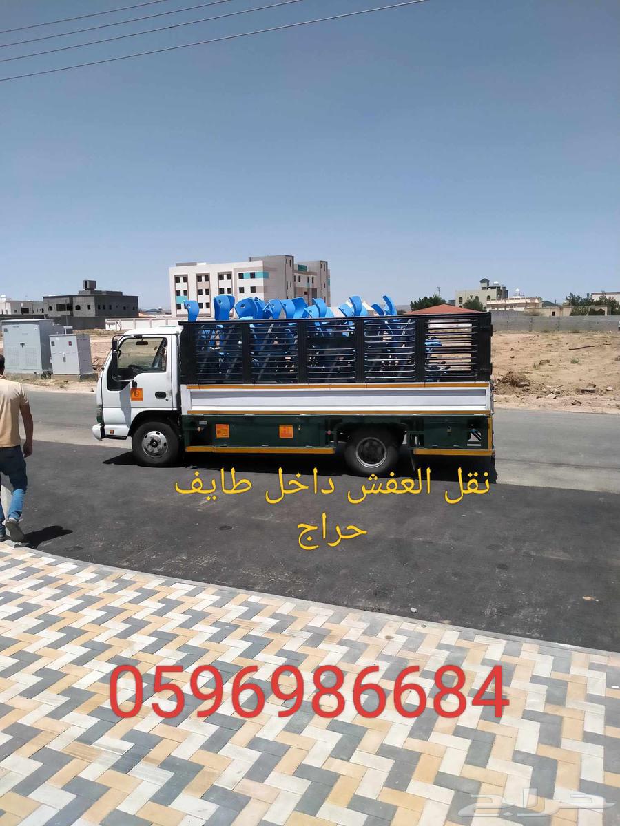 Dina's trip within Taif and outside it64594148014593110