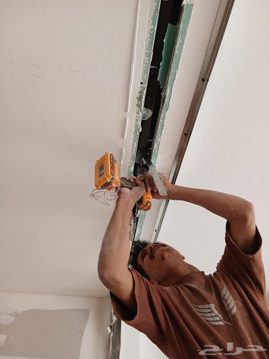 Decorations and plasterboard and insulation64594274220931111