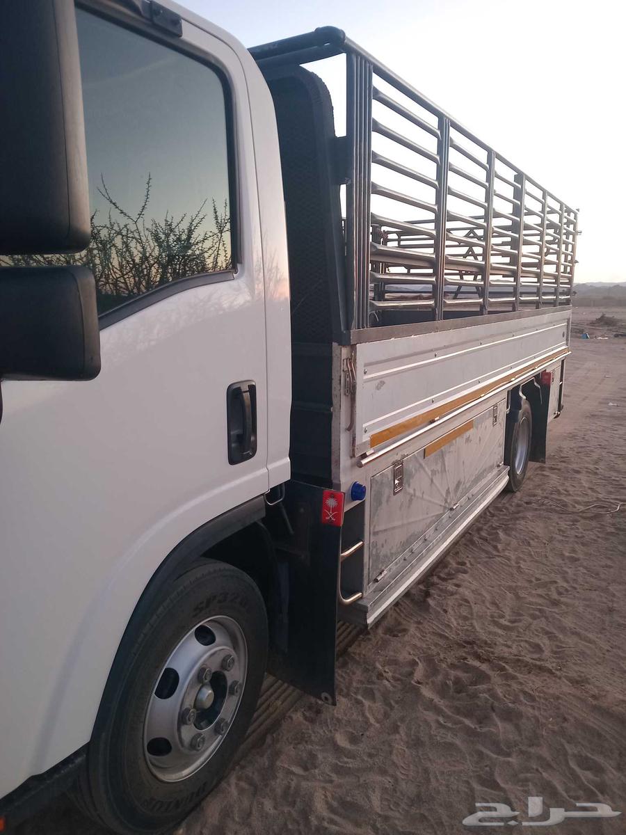 دنة بيشه للمشاوير64594099644291110