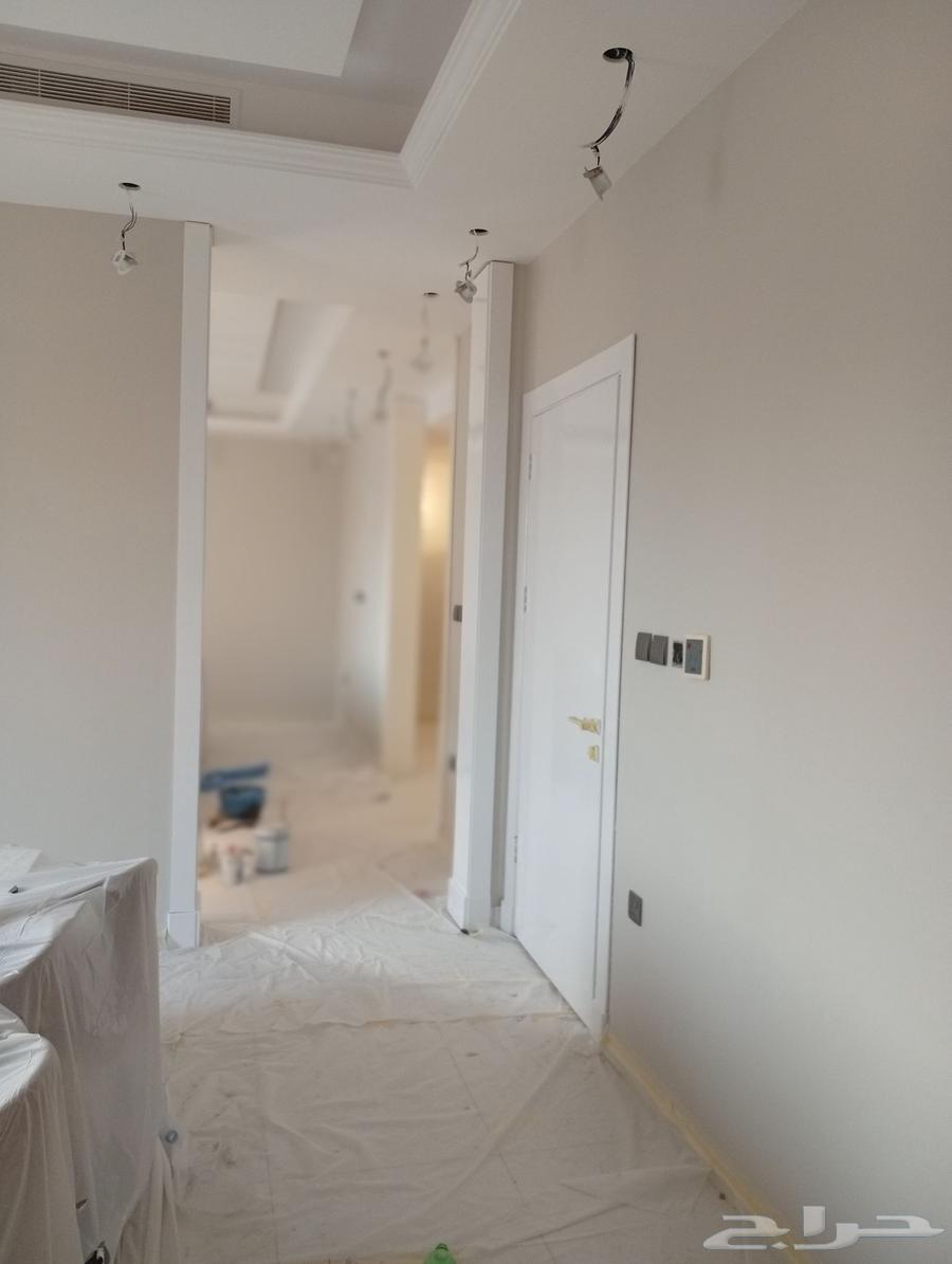 معلم دهانات داخلي خارجي ورق جدران فوم ديكورات64594261347970113