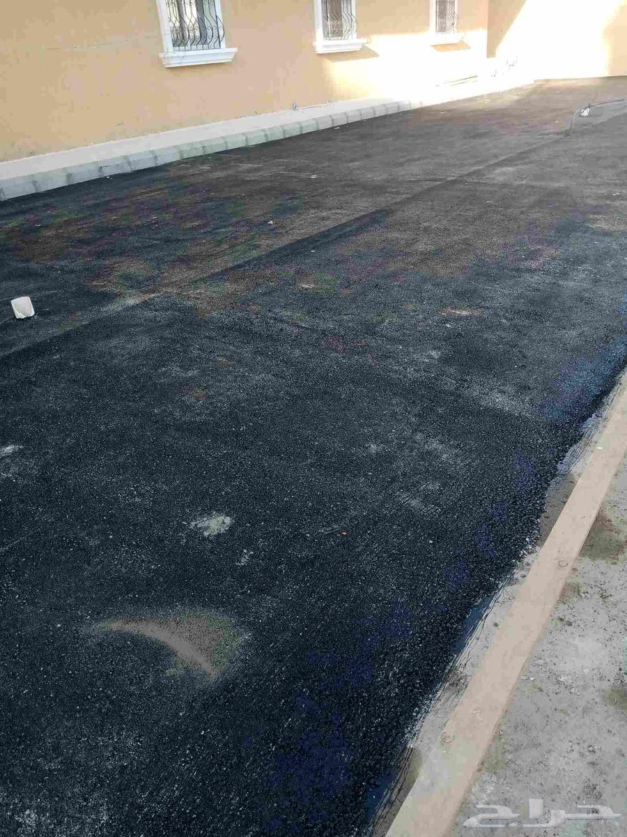 مقولات عامه وسفلته بركان سيارات64594052873729110