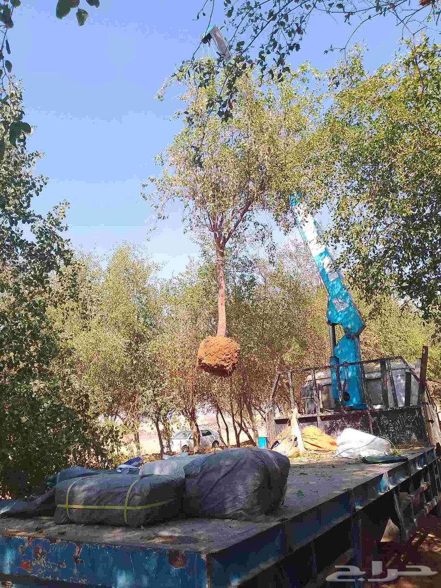 سطحه ونش المزحميه تبراك اجله64594245114755112