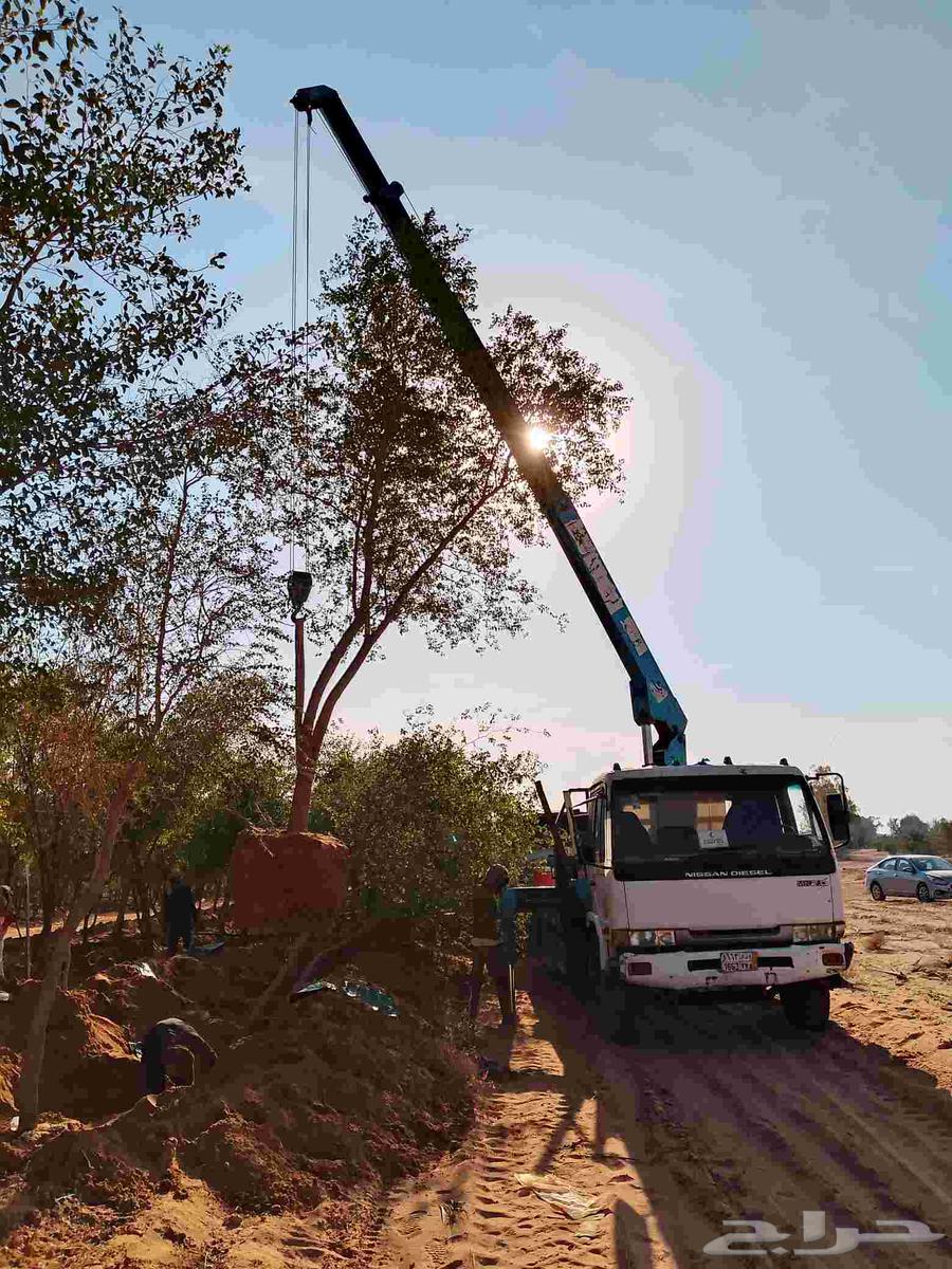 سطحه ونش المزحميه تبراك اجله64594245114755111