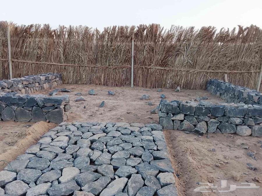 معلم حجر ومقاول المدينه المنوره64594274883842112