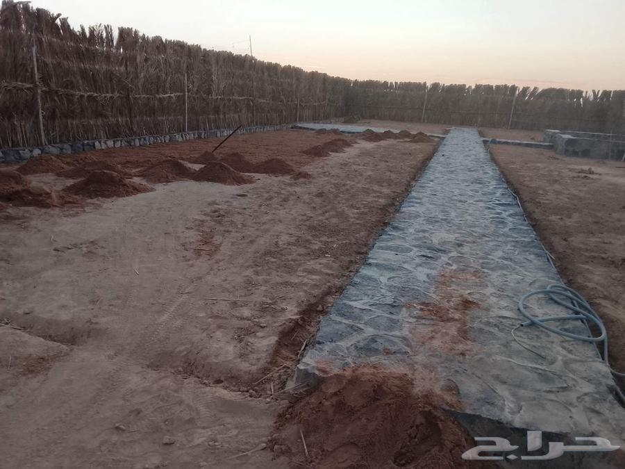 معلم حجر ومقاول المدينه المنوره64594274883842111