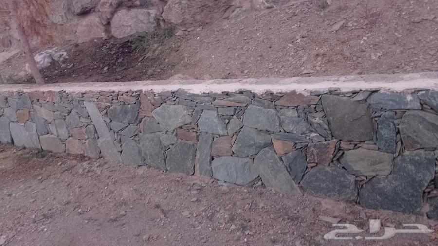 معلم تلبيس وجدارات عامه64594148414466110