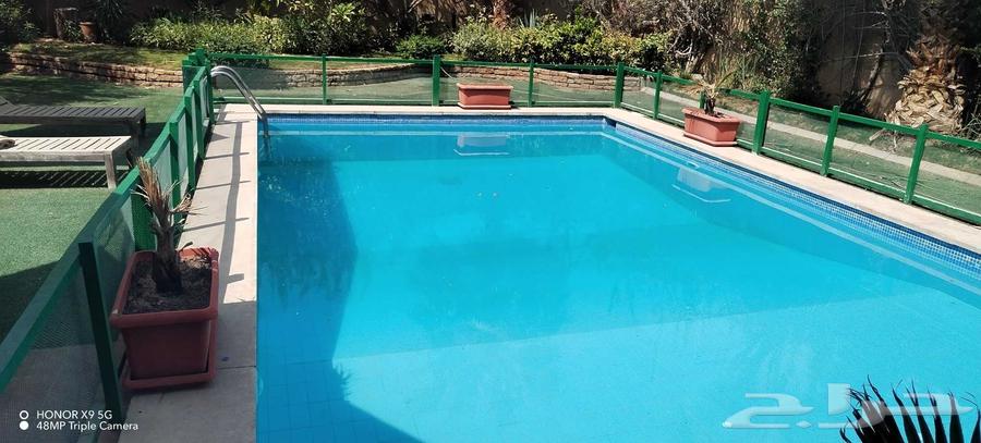 تنظيف وصيانة المسابح بالرياض64594246164611110