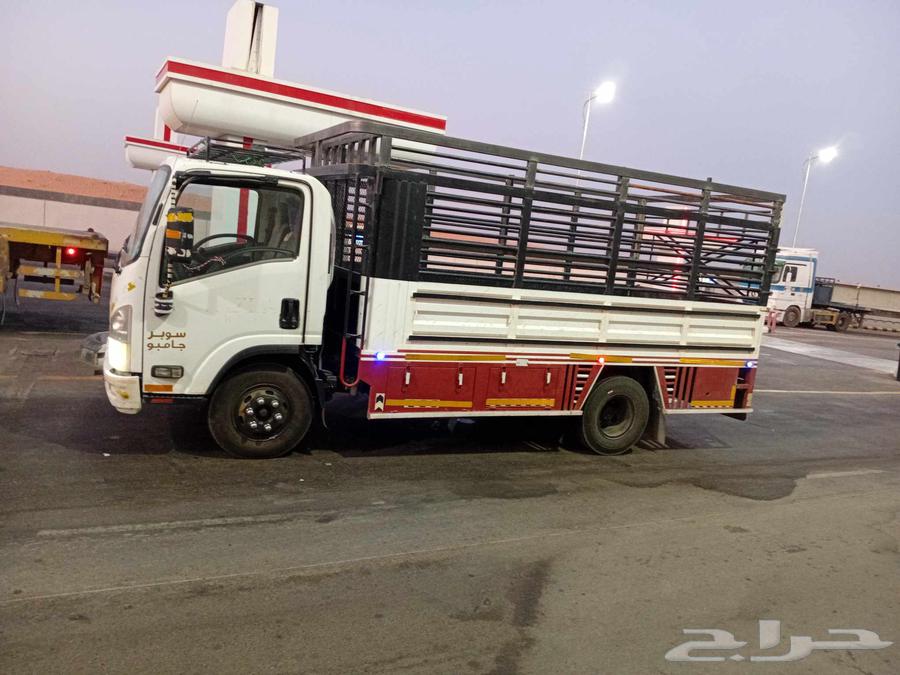 دينا طابق للنقل الحلال والمشاوير داخل المدينة وخارجها خيبر ت64594085175169111