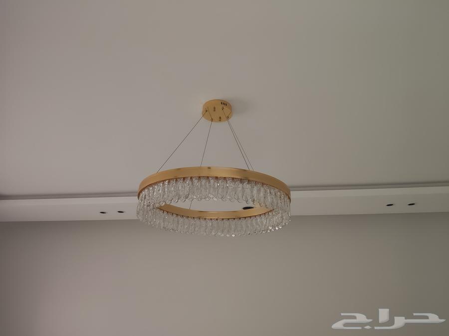 Hello, I am a Pakistani building electrician and plumber.64594119323906110