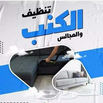 Cleaning Councils, Sofas, and Pest Control64594274389761111