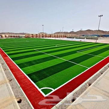 Artificial and Natural Grass - Wood Alternative - Shades - Waterfalls and Fountains - Planting Pools64594259777667114