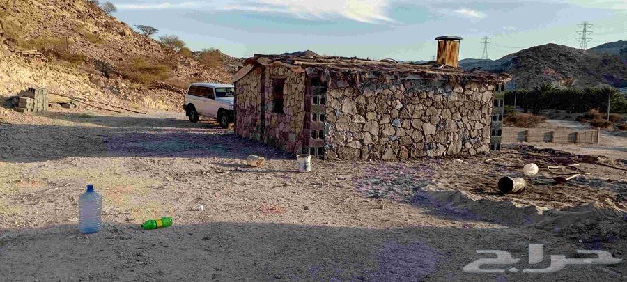 Stone mason and cladding, tiling, large and small stone installation64594196484609111