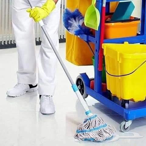 Cleaning Councils, Sofas, and Pest Control64594274389761112