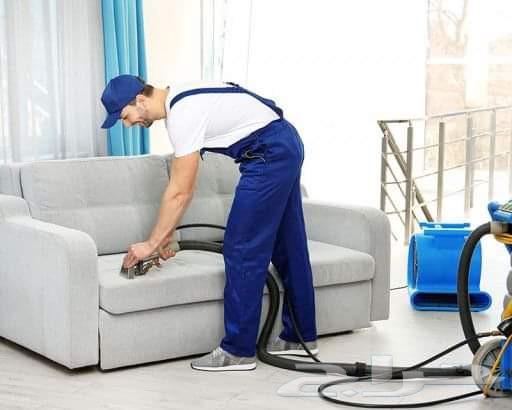 Cleaning Councils, Sofas, and Pest Control64594274389761113