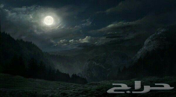 توصيل مشاوير داخل وخارج حائل64594053143299110