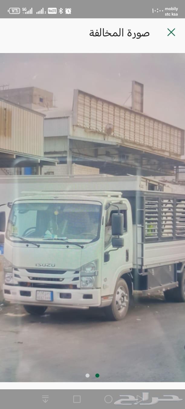 Dina 202264594052604673112