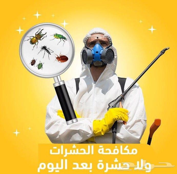 شركة تنظيف منازل ومكافحة حشرات بمكه64594245027457111
