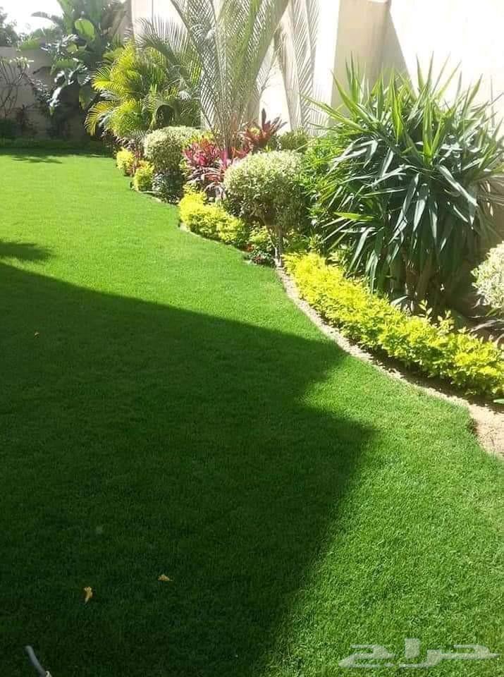 مشاتل الرياض لي تنسق الحدايق وبيع بي سعره الجمله64594182237825114