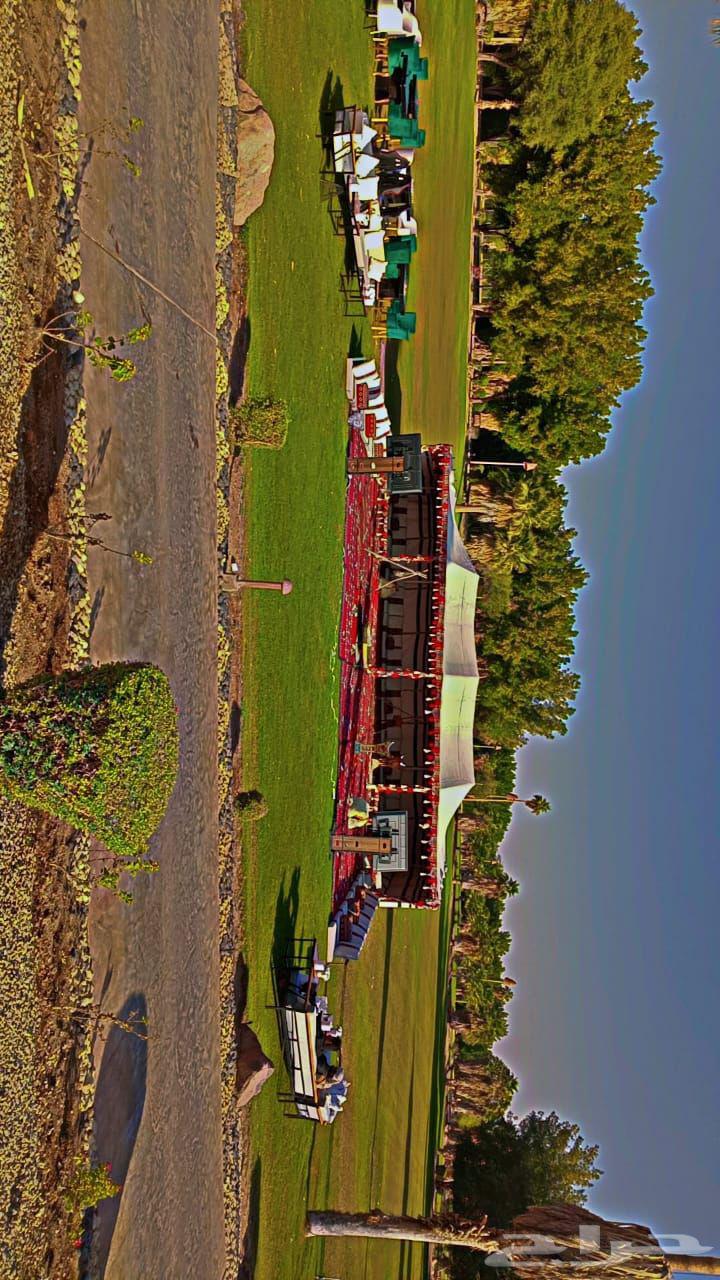 تاجير خيام اوروبية وبيوت شعر64594035984001111