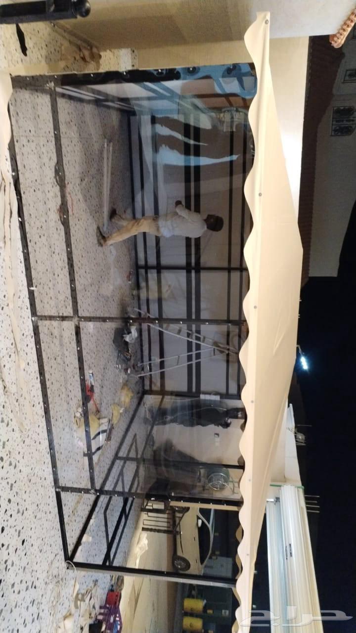 بيوت شعر ملكيه موقع طريف64594246437121110