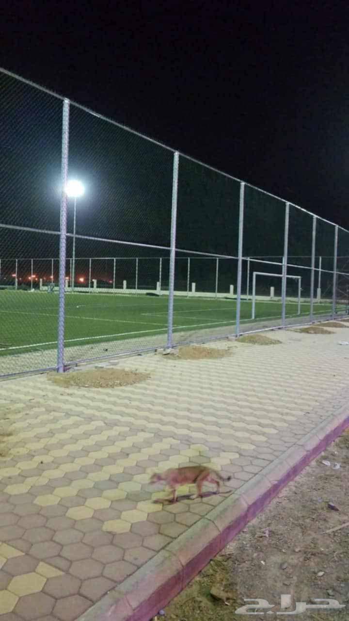 General Contracting64594118148739110