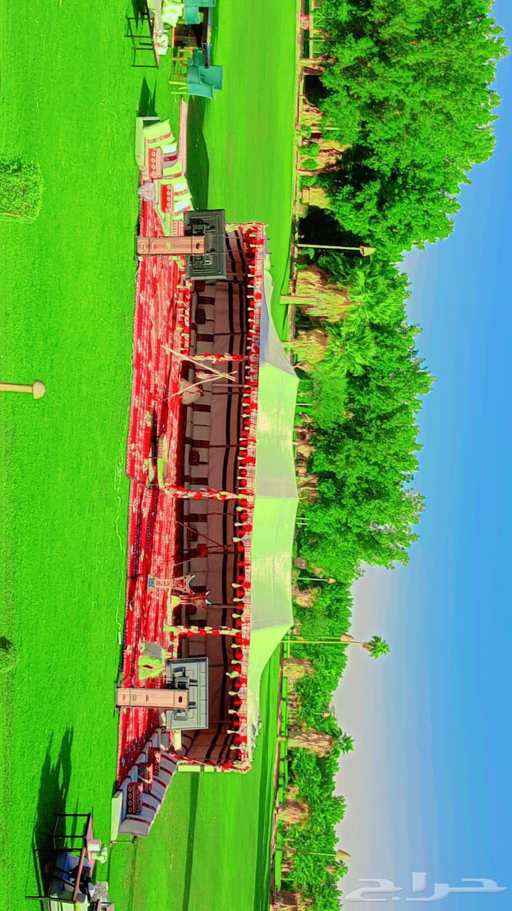 تاجير خيام اوروبية وبيوت شعر64594035984001110