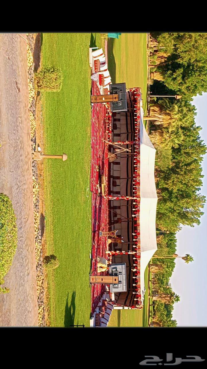 تاجير خيام اوروبية وبيوت شعر64594035984001112