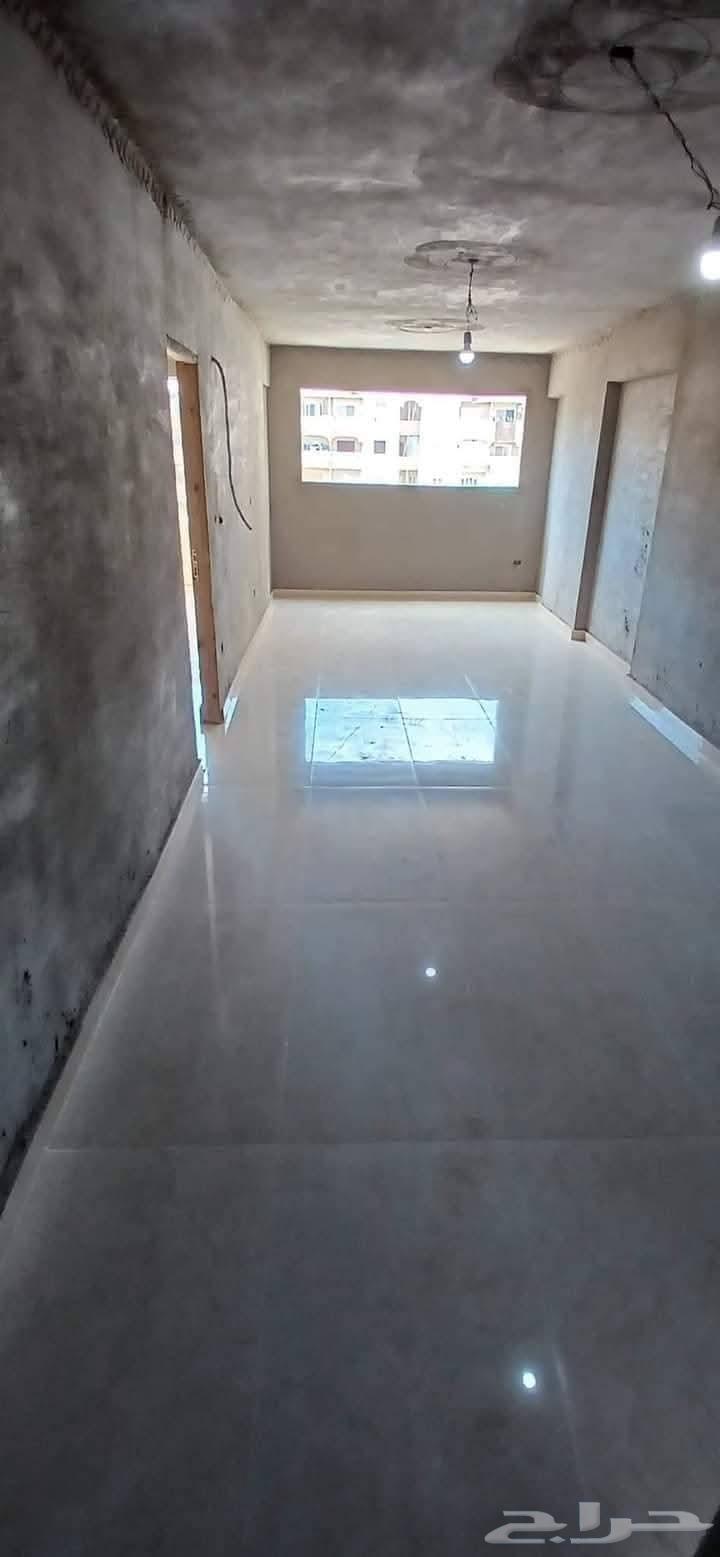 مبلط سيراميك64594133650691110