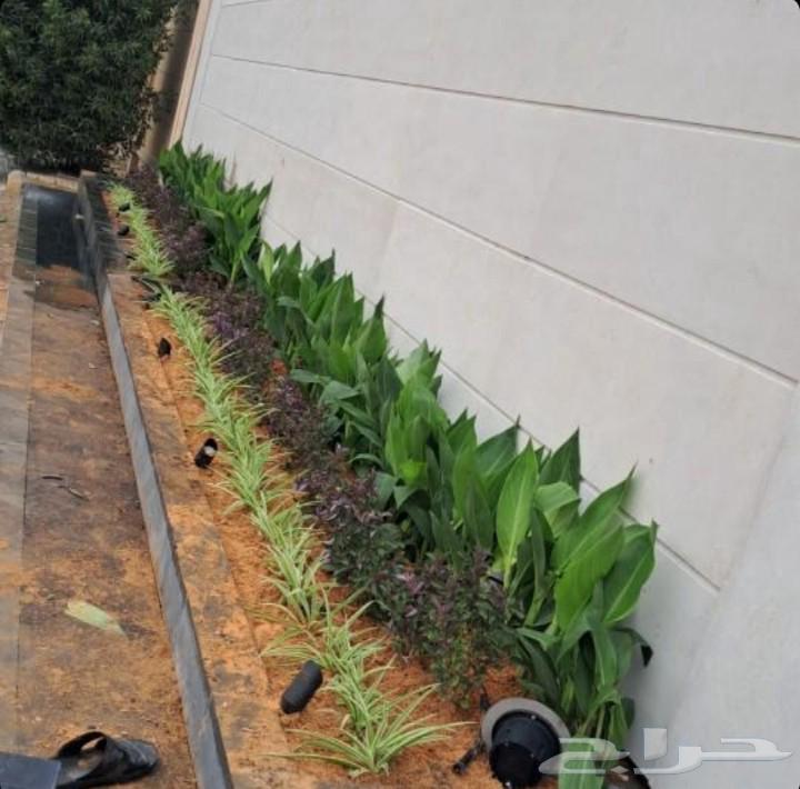 تنسيق الحدائق العامه والخاصه64594196262914113