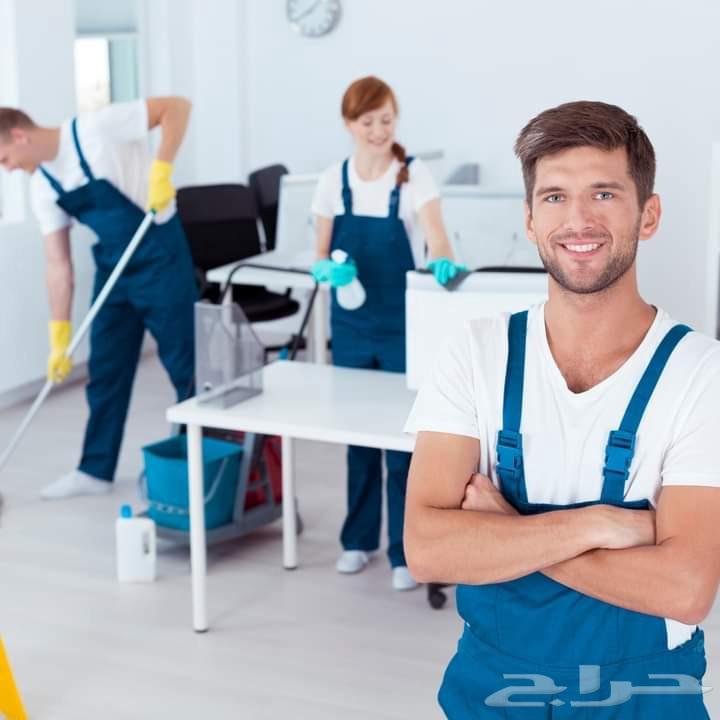 Cleaning Councils, Sofas, and Pest Control64594274389761110
