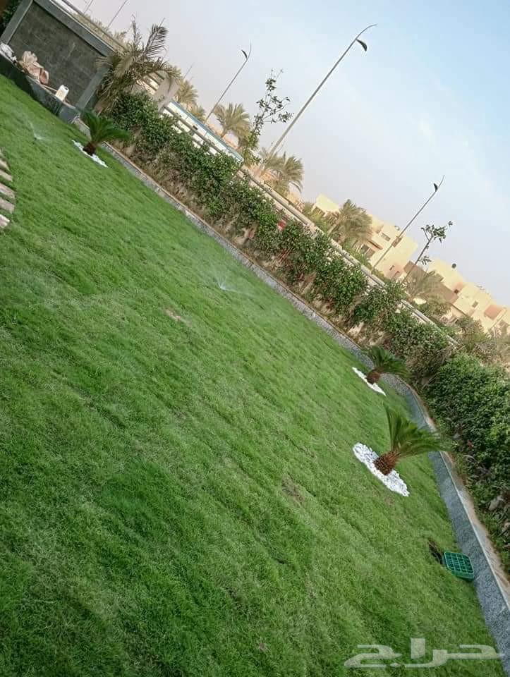 مشاتل الرياض لي تنسق الحدايق وبيع بي سعره الجمله64594182237825111