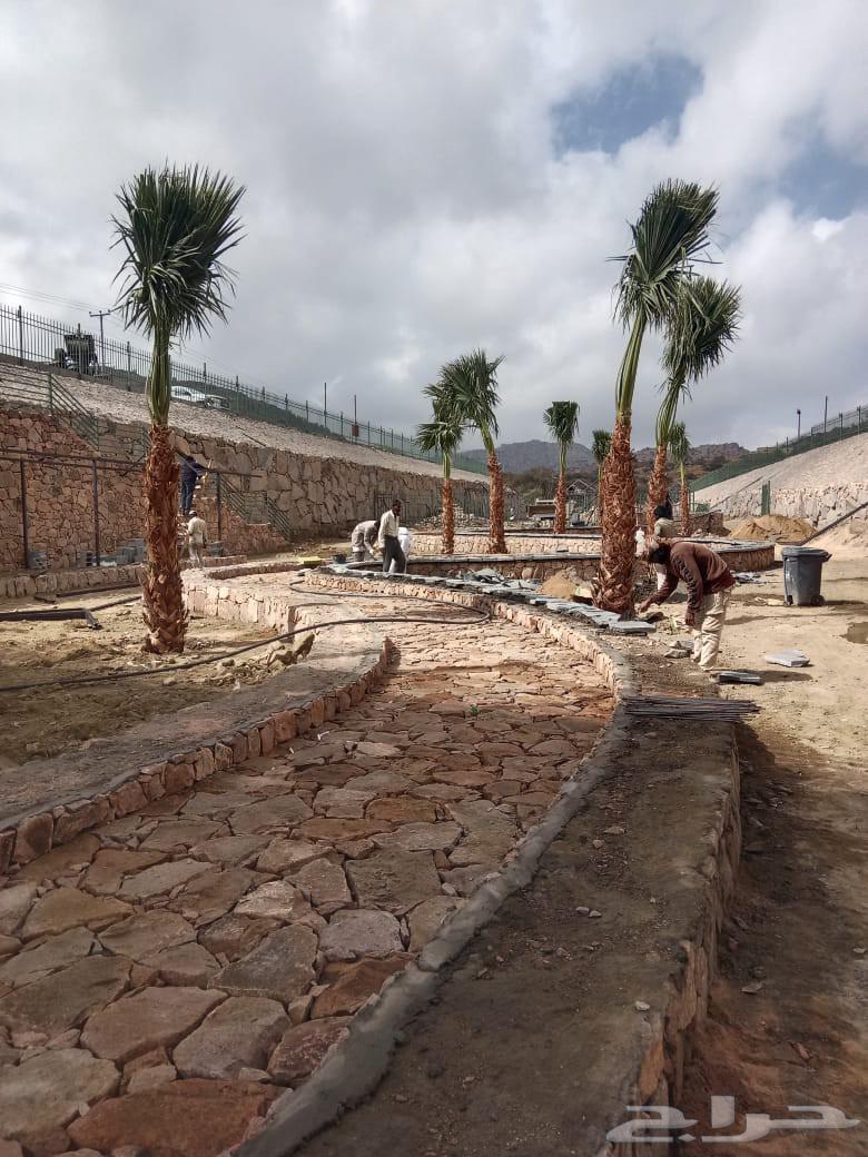 تلبيس وبناء جدارات64594148284929110