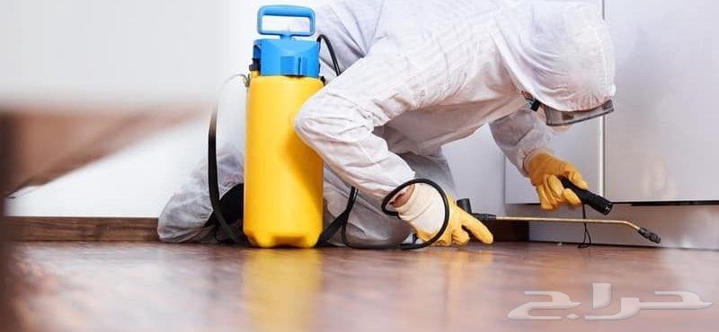 شركة مكافحة حشرات بالطائف رش حشرات فئران وزغ بق صراصير ناموس64594246469123110