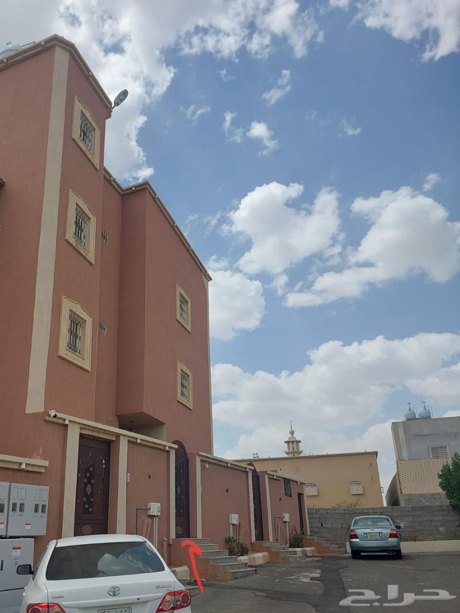 Apartment for rent in Khamis Mushait64594052053634110