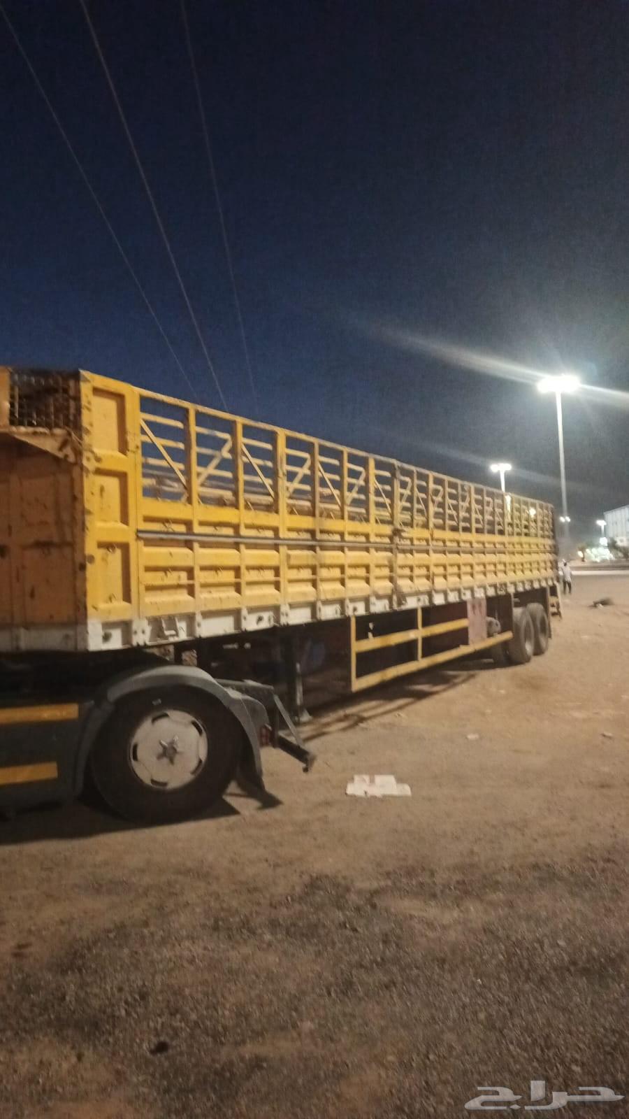 تريله ستار نقل تريلا ستار نقل64594274427394111