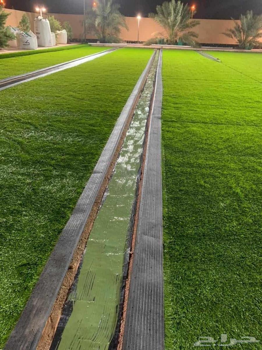 موكيت عشب صناعي انجيله64594085371395111