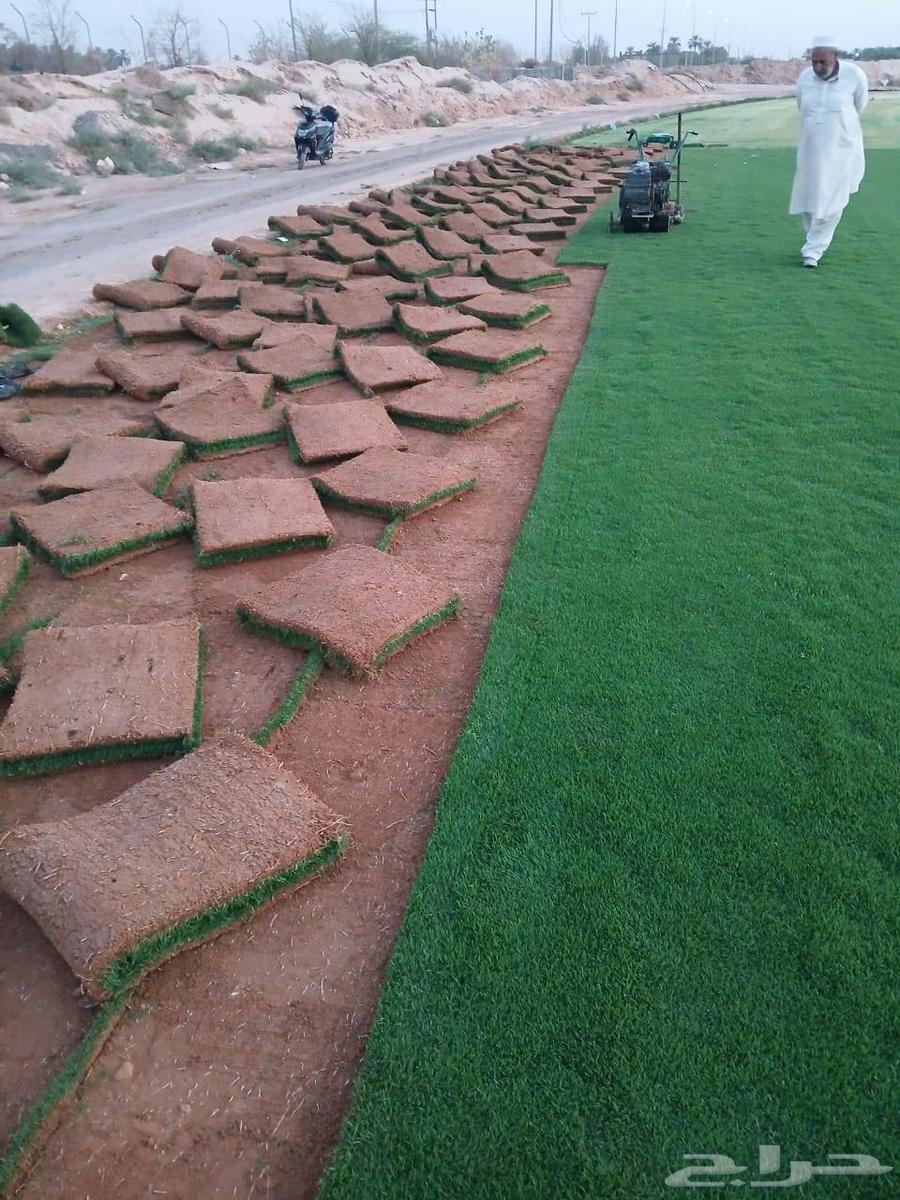 لتنسيق الحدائق والزراعه وصيانه الحدائق64589742550530111