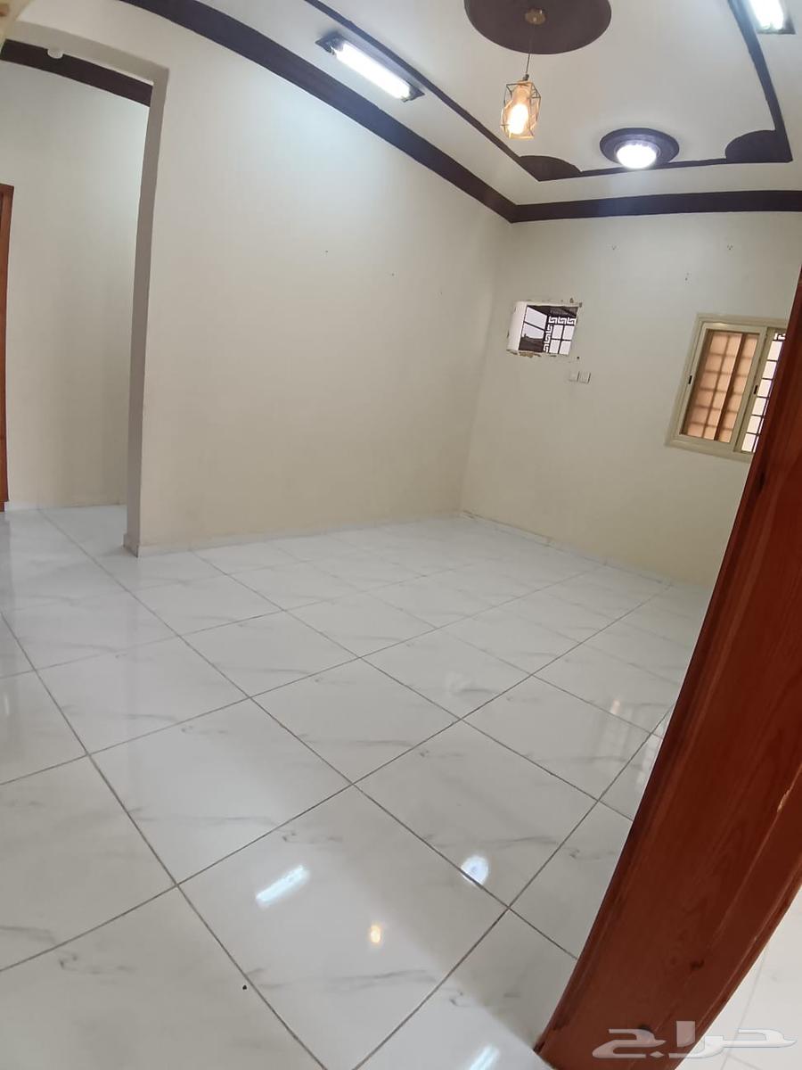 شقه للايجار حي عتود64594098572546113